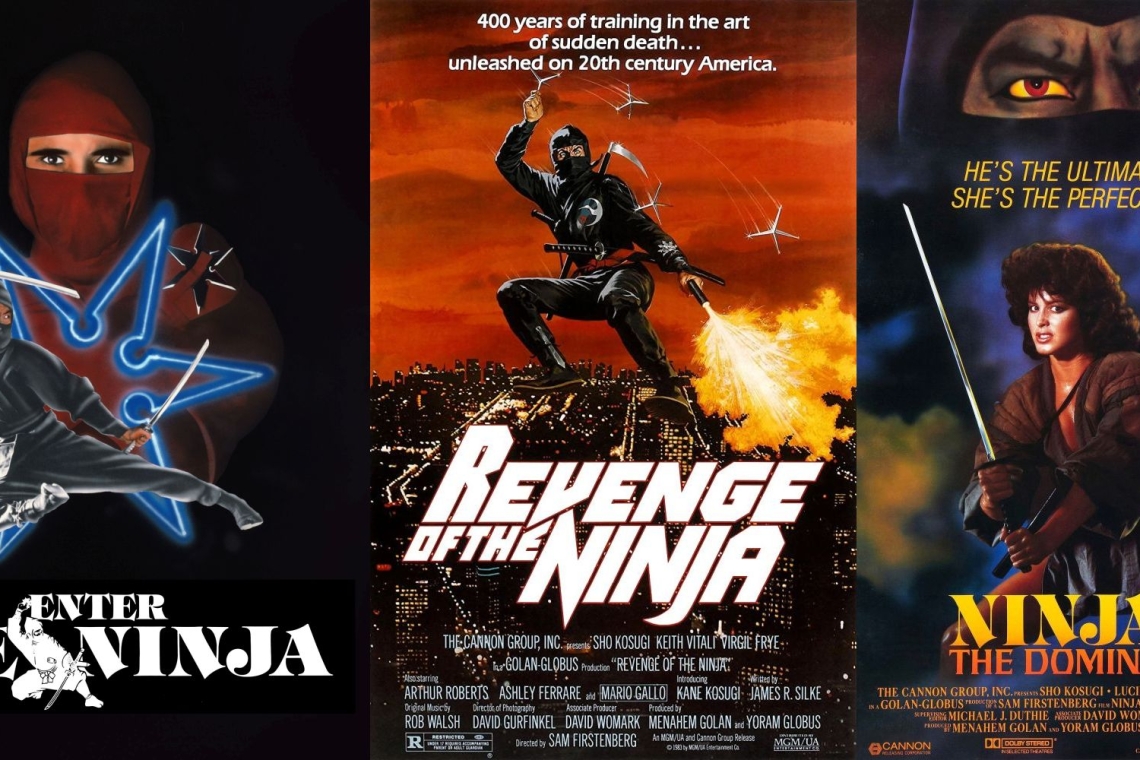 Αρχές της δεκαετίας του 80 ένα νέο είδος έκανε την εμφάνιση του