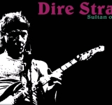 Sultans of Swing: Το τραγούδι ήταν μια αξιοσημείωτη αλλαγή από το φθίνον στυλ ντίσκο και το εκκολαπτόμενο πανκ κίνημα